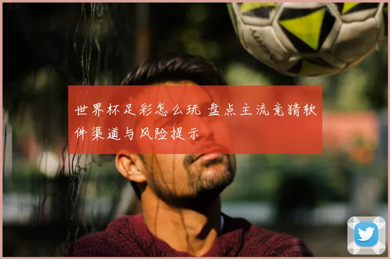 世界杯足彩怎么玩 盘点主流竞猜软件渠道与风险提示