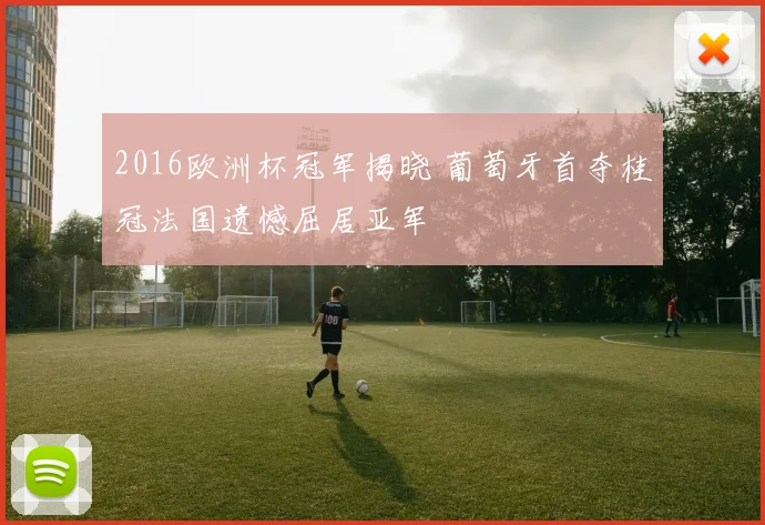 2016欧洲杯冠军揭晓 葡萄牙首夺桂冠法国遗憾屈居亚军