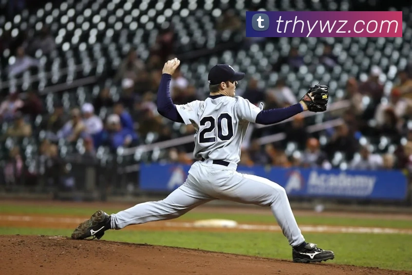 米兰app登陆入口发展历程